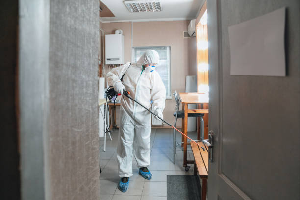 Best Comprehensive Air Testing for Mold Contaminants  in Gilbert, IA