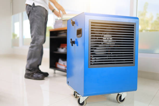 Best Air Quality Testing for Mold Spores  in Gilbert, IA