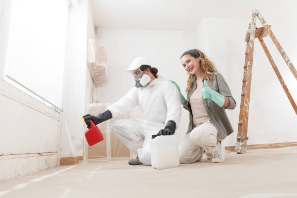 Best Asbestos and Lead Testing During Mold Inspection  in Gilbert, IA